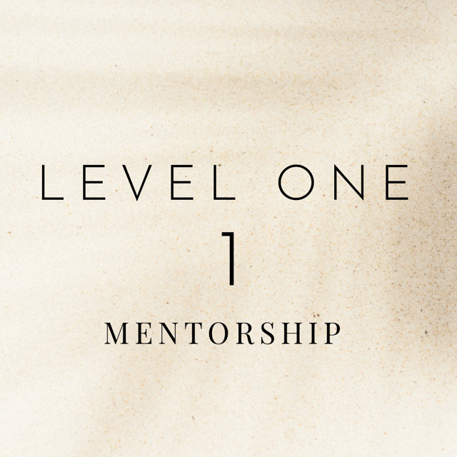 Level One Mentor Package