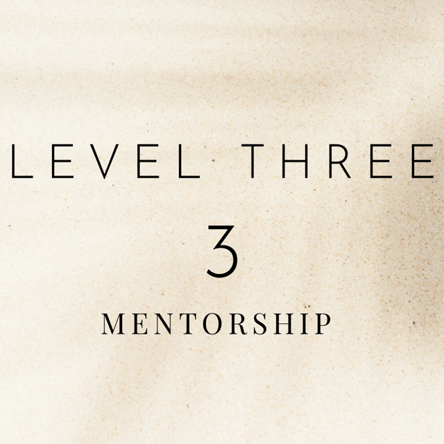 Level Three Mentor Package